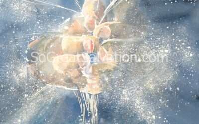 Creation of the Universe